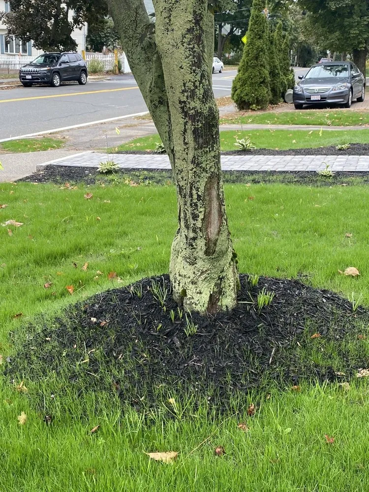 Affordable yard maintenance for year-round maintenance in North Reading, MA by Heritage Landscape