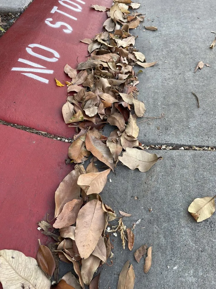 Top-rated yard maintenance experts serving La Mesa, CA - Heritage Landscape Services Inc