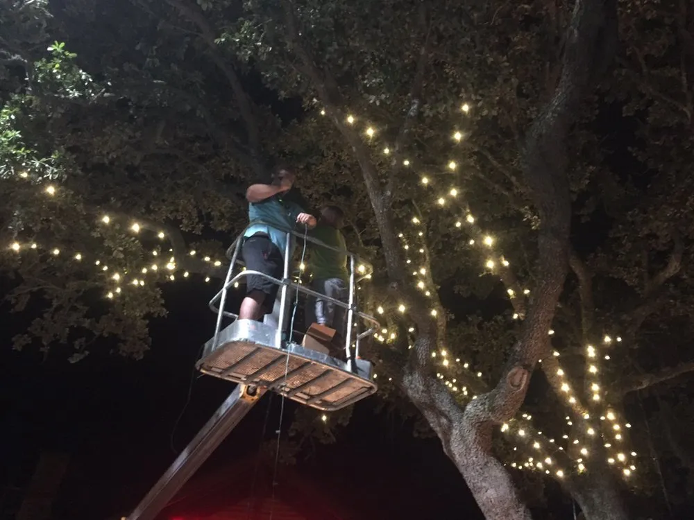 Top-rated lawn care service for year-round maintenance across Conway, SC - Heritage Landscapes & Turf Management