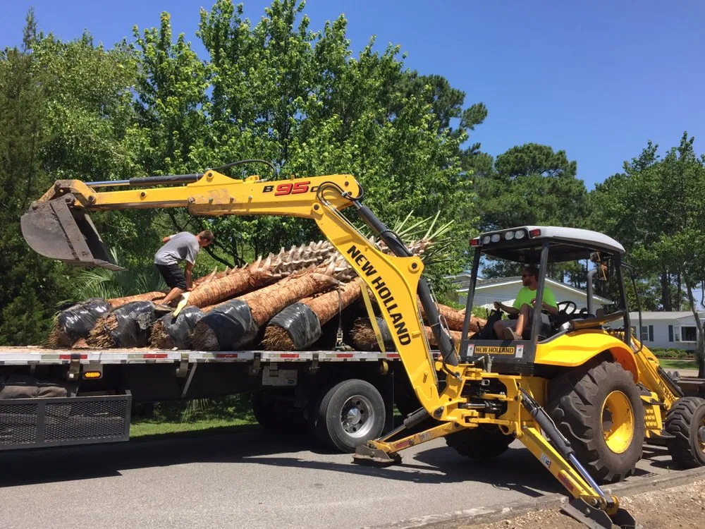 Affordable yard cleanup service in Conway, SC - Heritage Landscapes & Turf Management