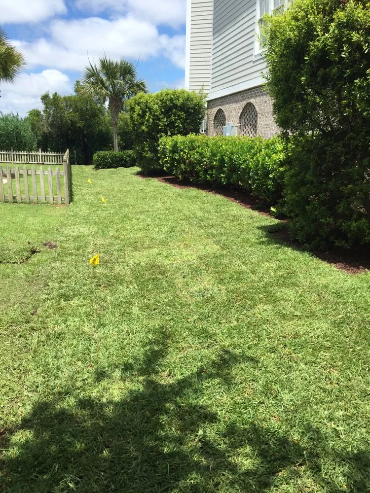 Top-rated outdoor landscaping in Conway, SC by Heritage Landscapes & Turf Management