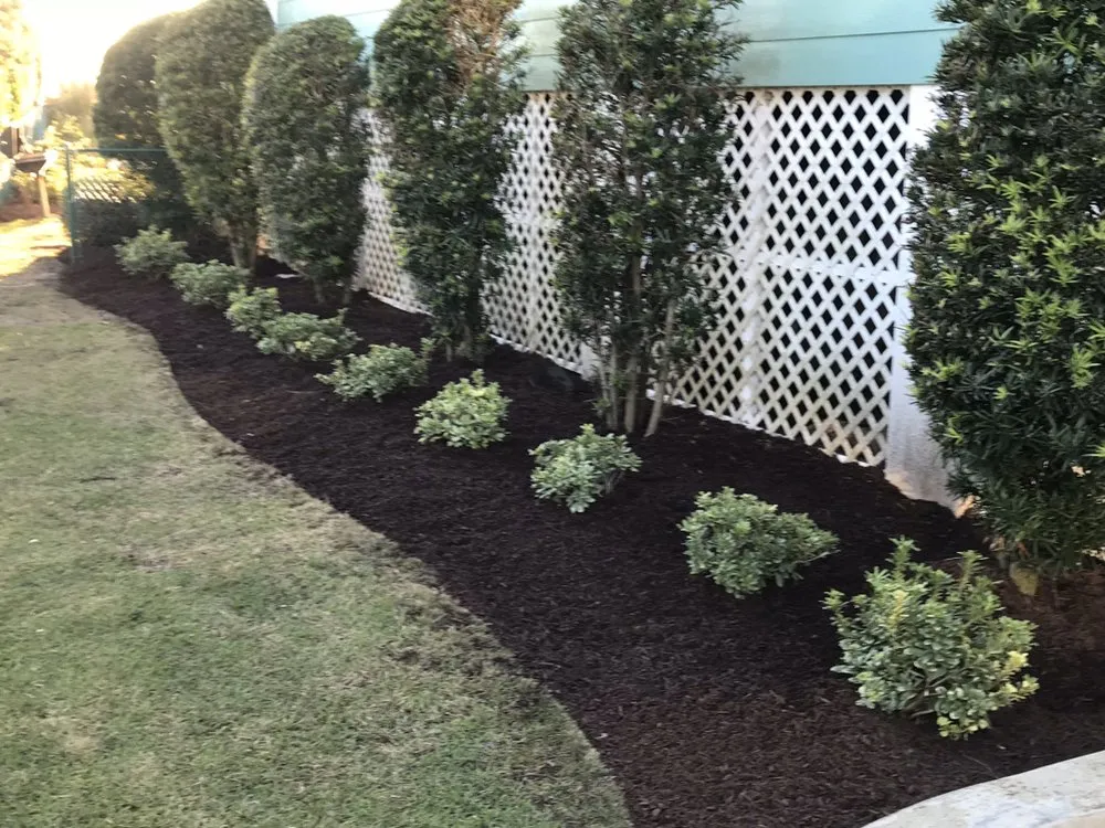 Professional lawn care service for homes across Conway, SC - Heritage Landscapes & Turf Management