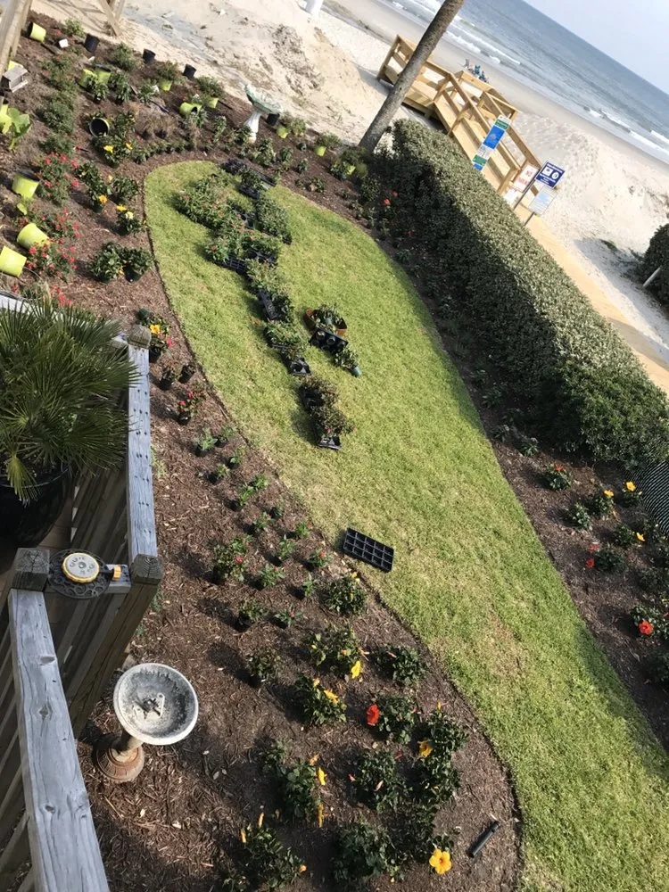 Professional outdoor landscaping for year-round maintenance across Conway, SC - Heritage Landscapes & Turf Management