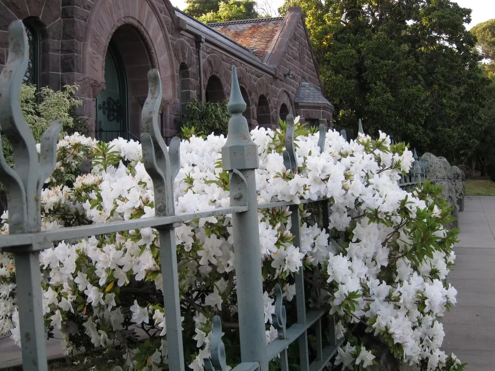 Top-rated landscape design experts serving Novato, CA - Heritage Landscapes