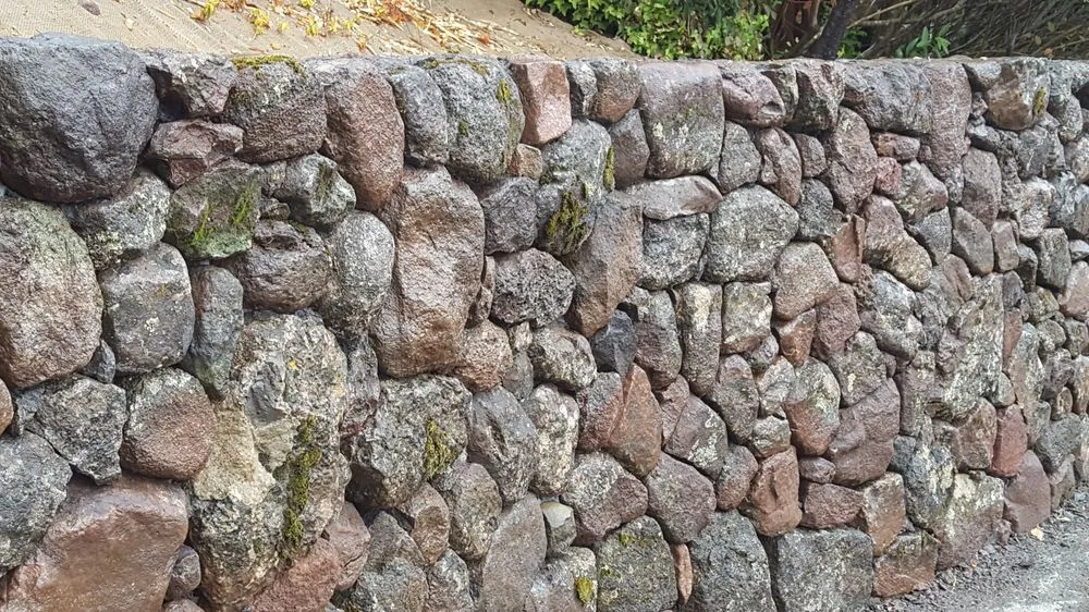 Custom residential landscaping in Novato, CA by Heritage Landscapes