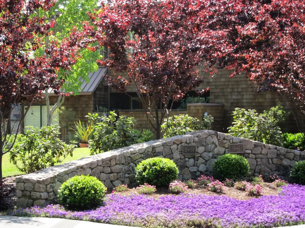 Professional yard maintenance experts serving Novato, CA - Heritage Landscapes