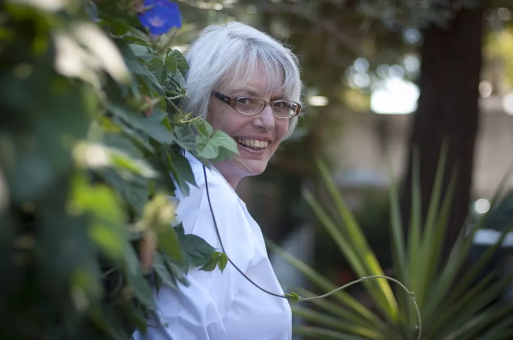 Reliable landscape design for year-round maintenance across Novato, CA - Heritage Landscapes