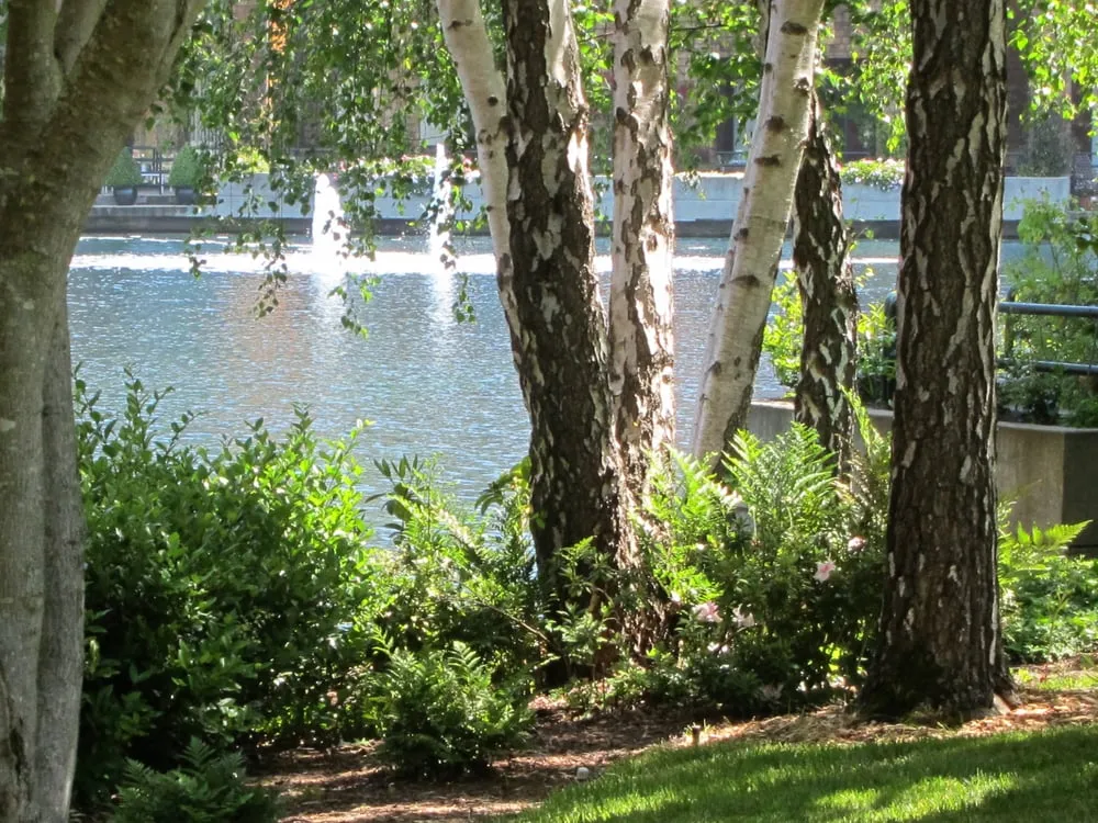 Local landscaping services with custom design across Novato, CA - Heritage Landscapes