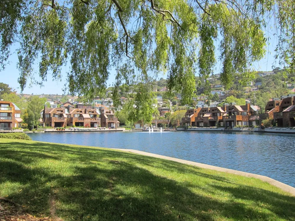 Professional landscape installation in Novato, CA by Heritage Landscapes