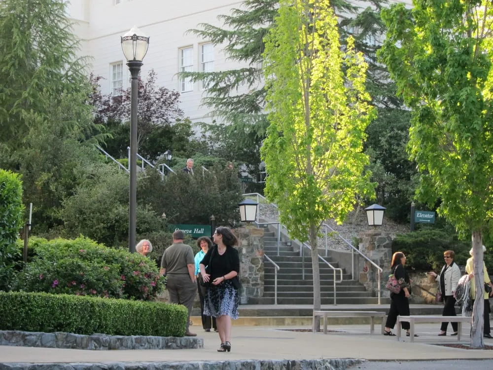 Reliable yard maintenance experts serving Novato, CA - Heritage Landscapes