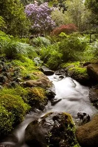 Top-rated landscape design for outdoor upgrades across Novato, CA - Heritage Landscapes