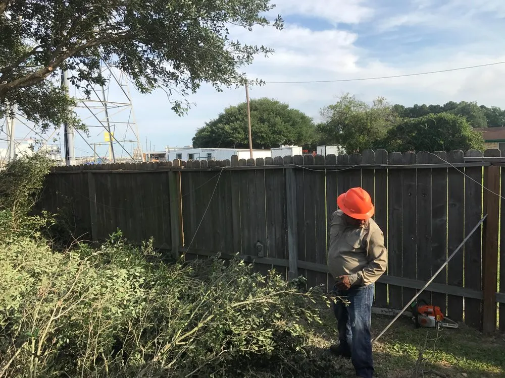 Affordable yard maintenance in Conroe, TX - Heritage Landscaping
