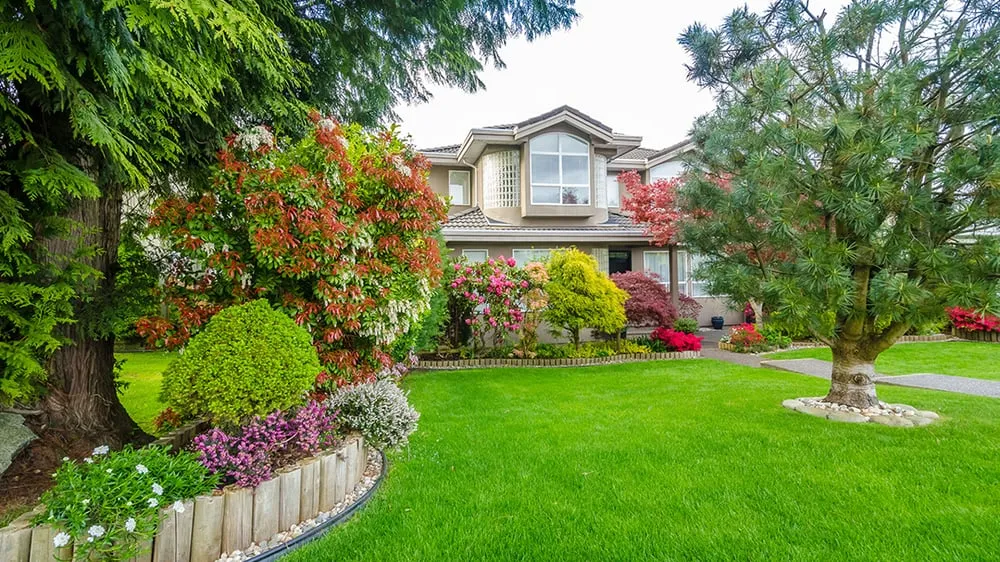 Custom yard maintenance in Conroe, TX - Heritage Landscaping