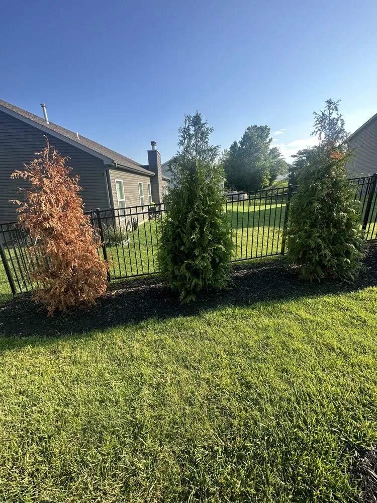 Reliable yard maintenance for beautiful yards in St Peters, MO by Heritage Lawn & Landscape