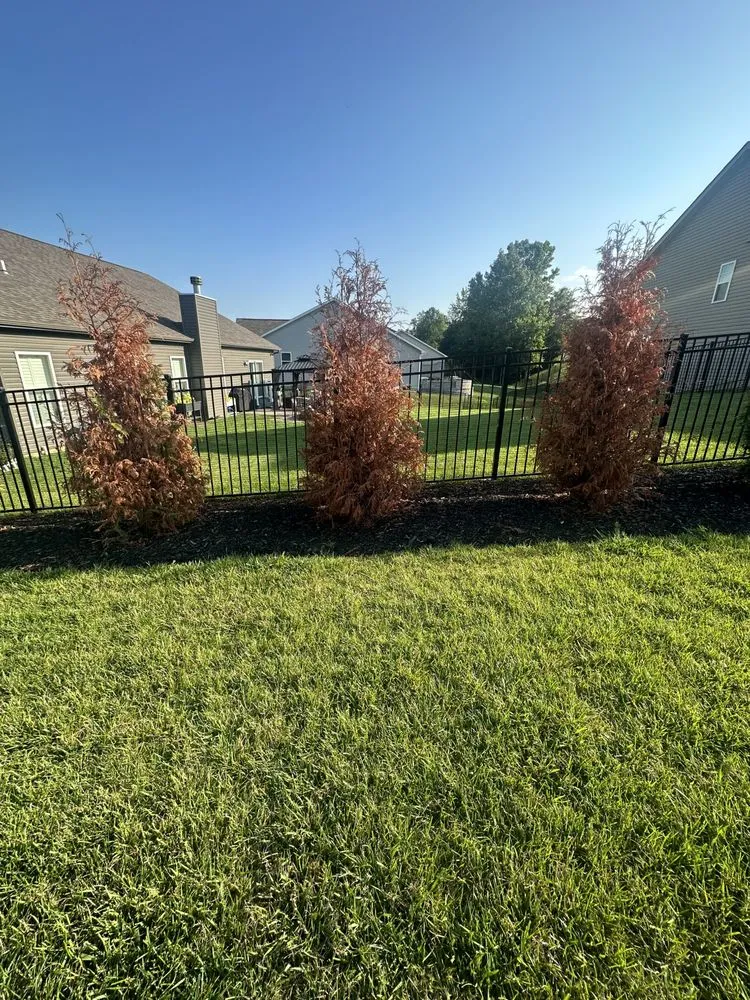 Expert yard maintenance in St Peters, MO - Heritage Lawn & Landscape