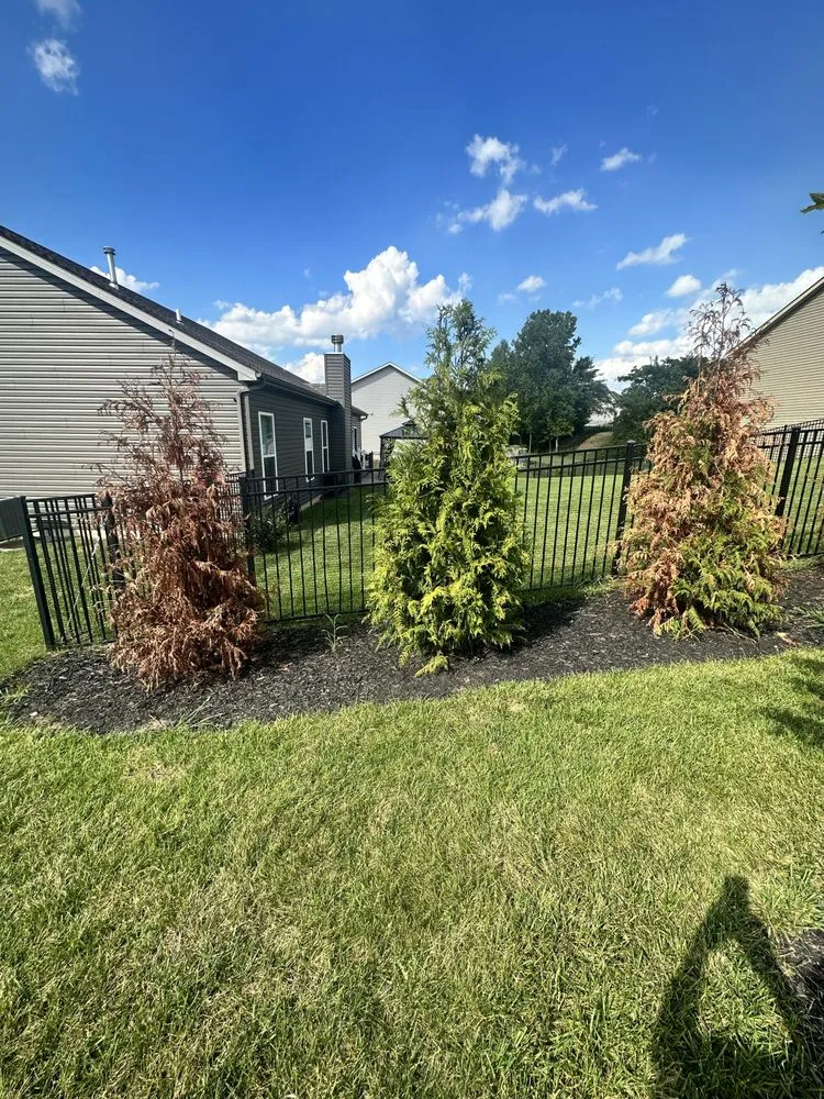 Affordable outdoor landscaping in St Peters, MO by Heritage Lawn & Landscape