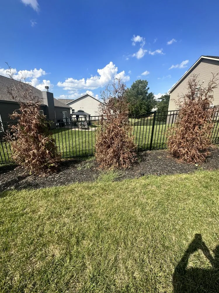 Top-rated residential landscaping for year-round maintenance in St Peters, MO by Heritage Lawn & Landscape