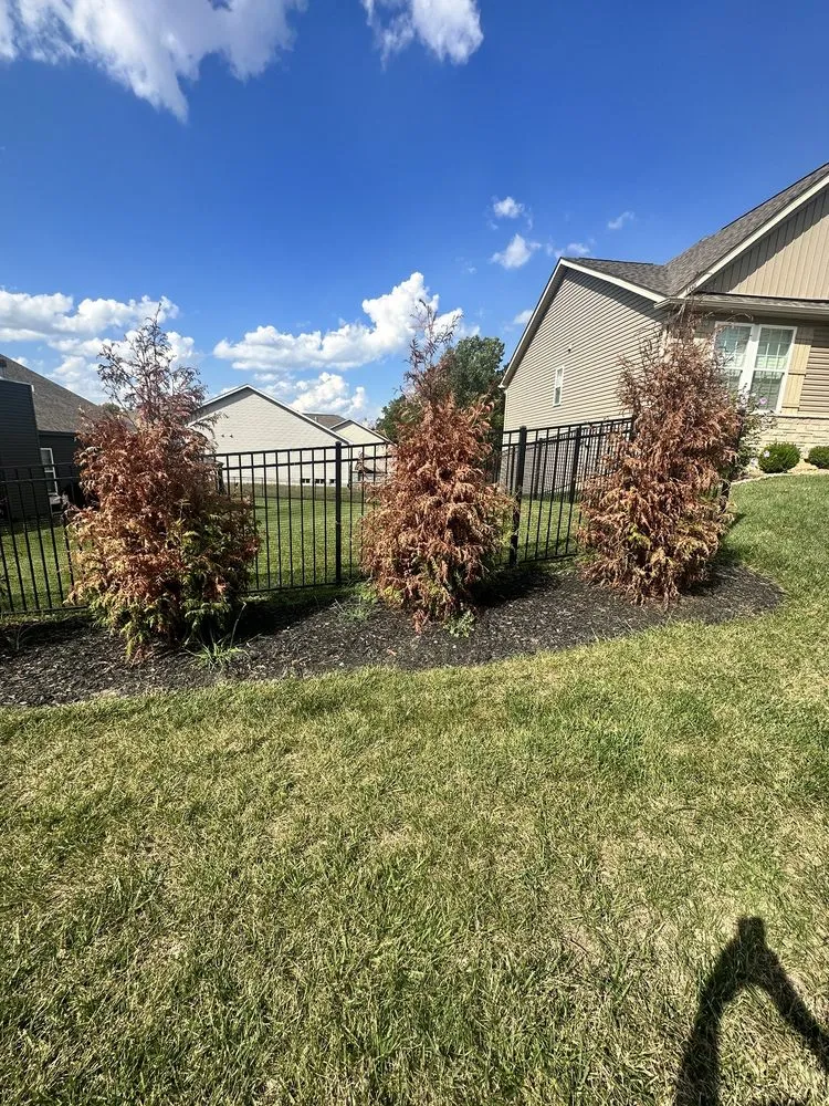 Professional landscaping services in St Peters, MO - Heritage Lawn & Landscape