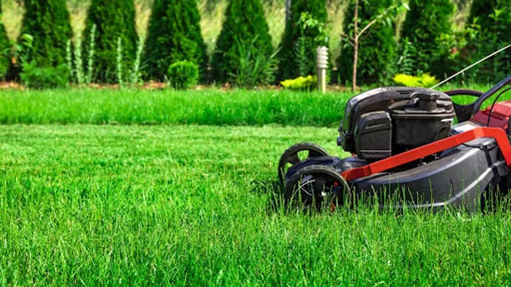 Top-rated yard cleanup service in Neenah, WI by Heritage Lawn & Snow Care