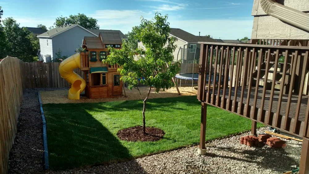 Professional yard cleanup service experts serving Colorado Springs, CO - Heritage Lawn and Landscaping