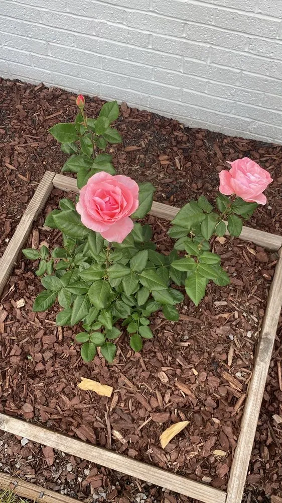 Affordable landscape design for outdoor upgrades across Winchester, VA - Heritage Lawn Care