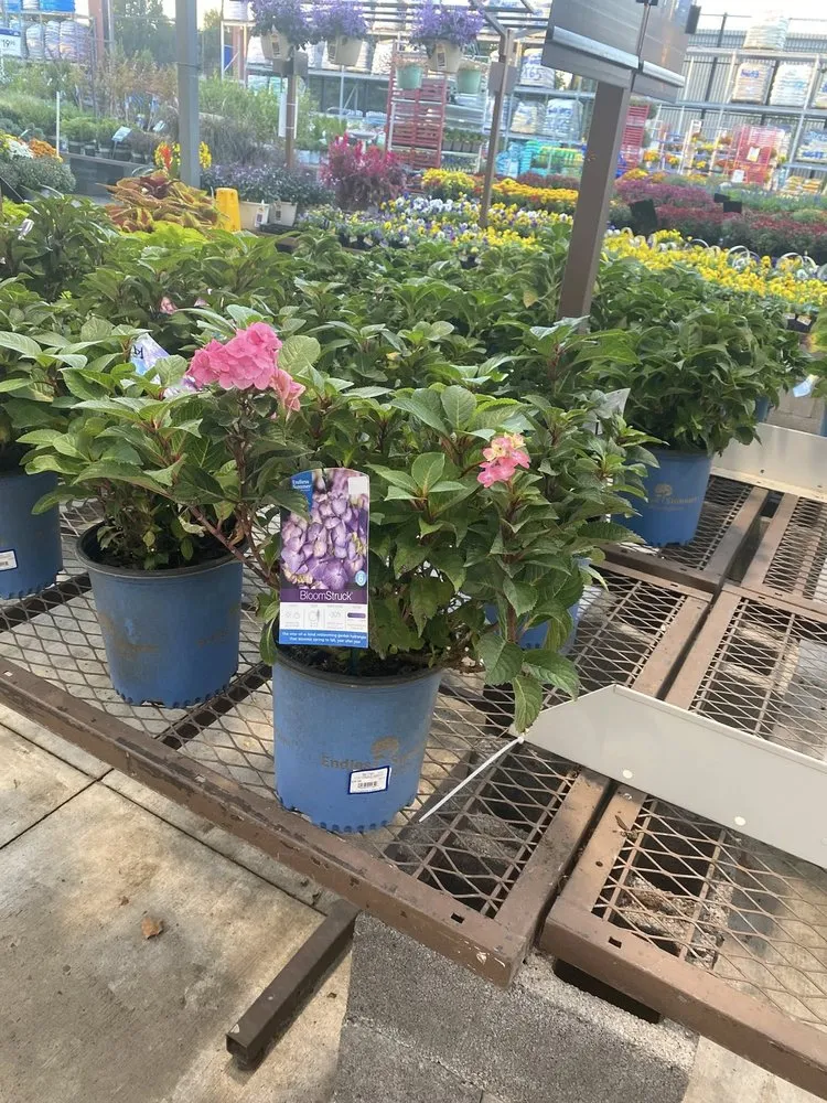 Expert yard cleanup service for outdoor upgrades in Winchester, VA by Heritage Lawn Care