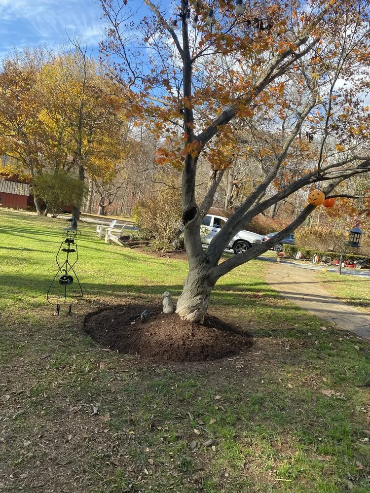 Local outdoor landscaping in Winchester, VA - Heritage Lawn Care