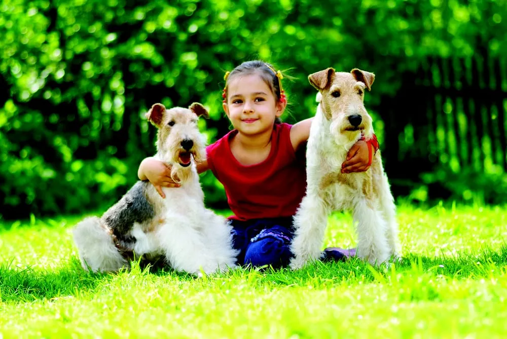 Top-rated garden landscaping for beautiful yards in Olathe, KS by Heritage Lawns & Irrigation