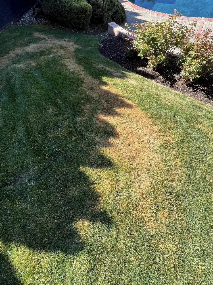 Professional lawn care service experts serving Kennewick, WA - Heritage Professional Landscaping and Maintenance