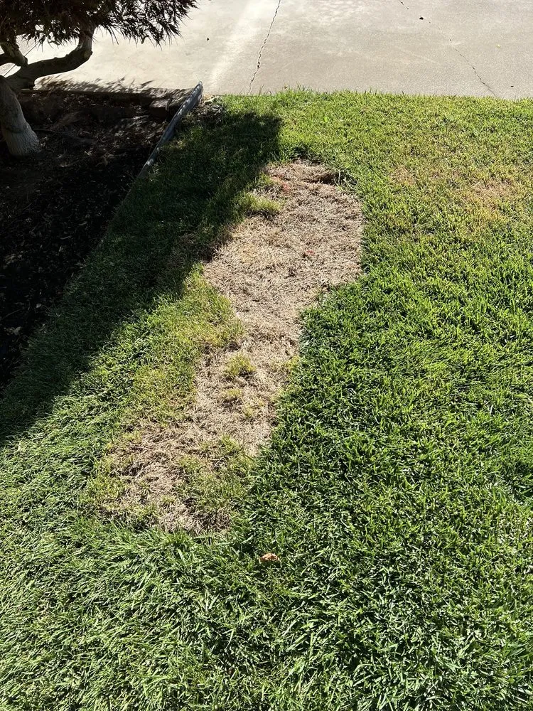 Trusted residential landscaping for year-round maintenance in Kennewick, WA by Heritage Professional Landscaping and Maintenance