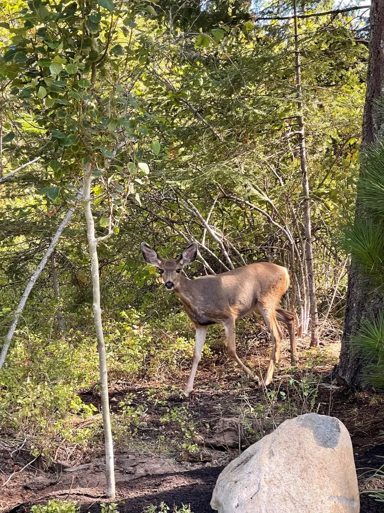 Top-rated residential landscaping with custom design across Kennewick, WA - Heritage Professional Landscaping and Maintenance