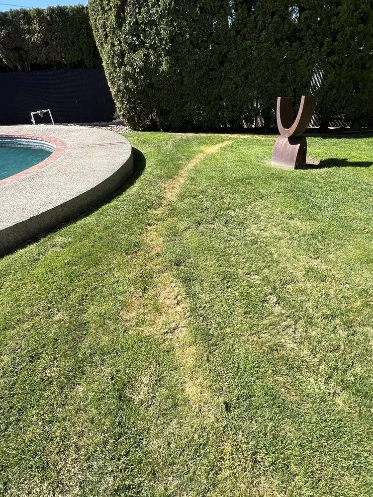 Expert outdoor landscaping in Kennewick, WA by Heritage Professional Landscaping and Maintenance