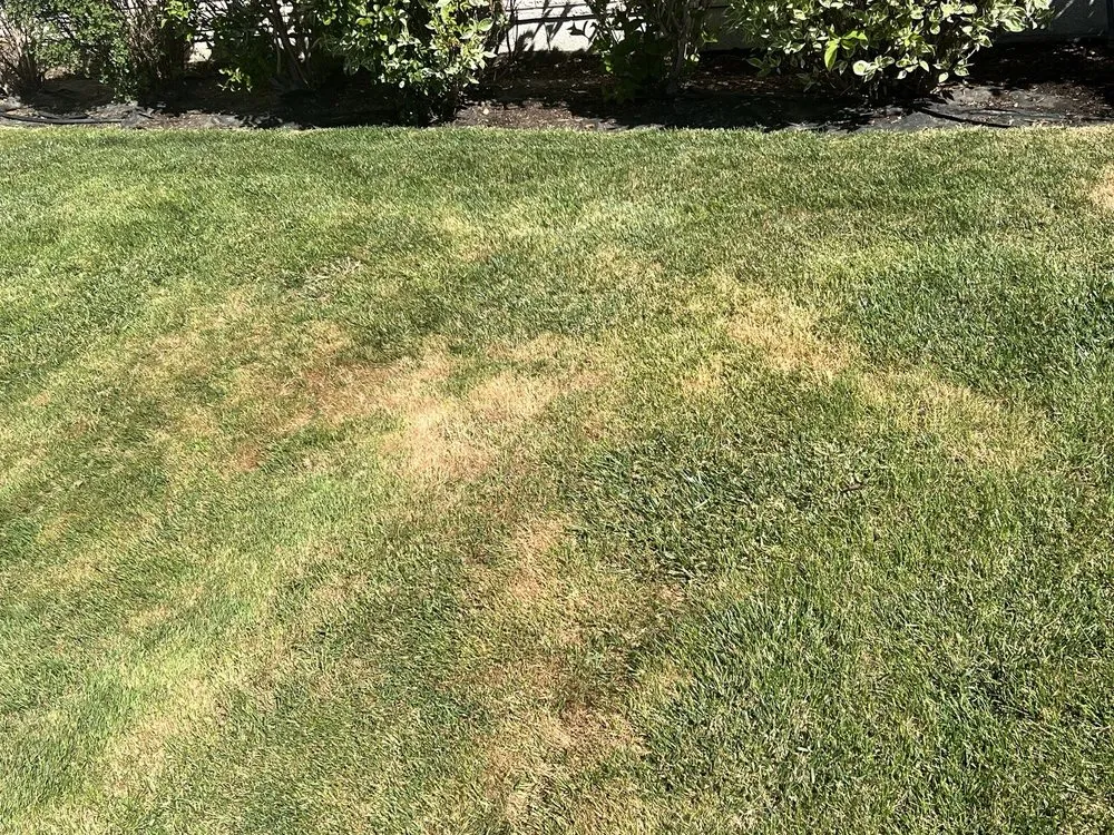 Local residential landscaping for year-round maintenance in Kennewick, WA by Heritage Professional Landscaping and Maintenance