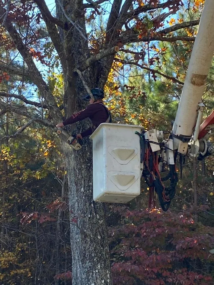 Professional residential landscaping experts serving Bowdon, GA - Heritage Tree & Landworks