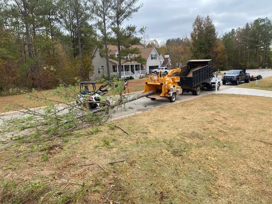 Expert landscape design in Bowdon, GA - Heritage Tree & Landworks