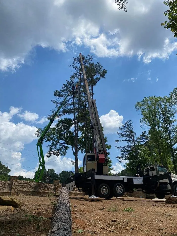Top-rated residential landscaping for residential properties in Bowdon, GA by Heritage Tree & Landworks