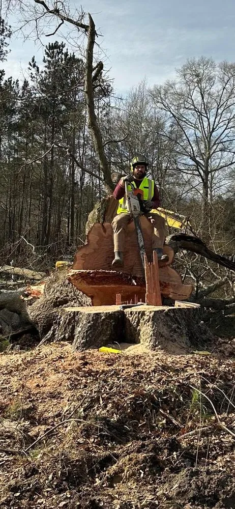 Affordable landscape installation in Bowdon, GA - Heritage Tree & Landworks