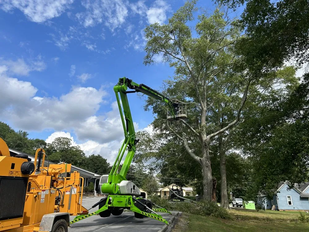 Professional residential landscaping for year-round maintenance in Bowdon, GA by Heritage Tree & Landworks