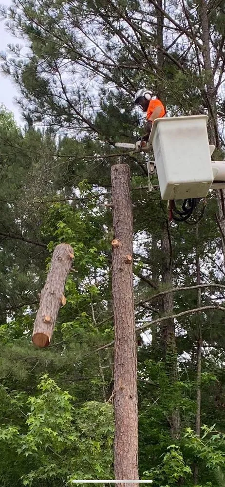Professional garden landscaping in Bowdon, GA by Heritage Tree & Landworks