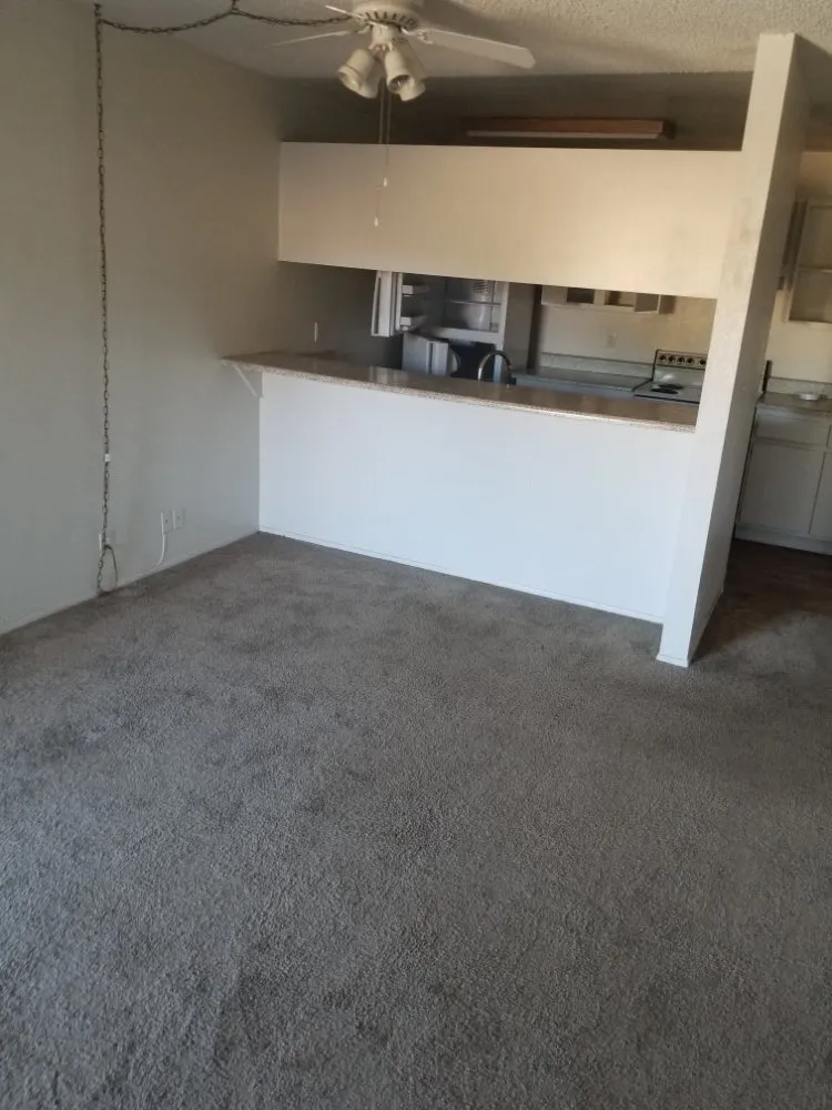 Reliable yard maintenance experts serving Spring Valley, CA - Herkules Home Solutions