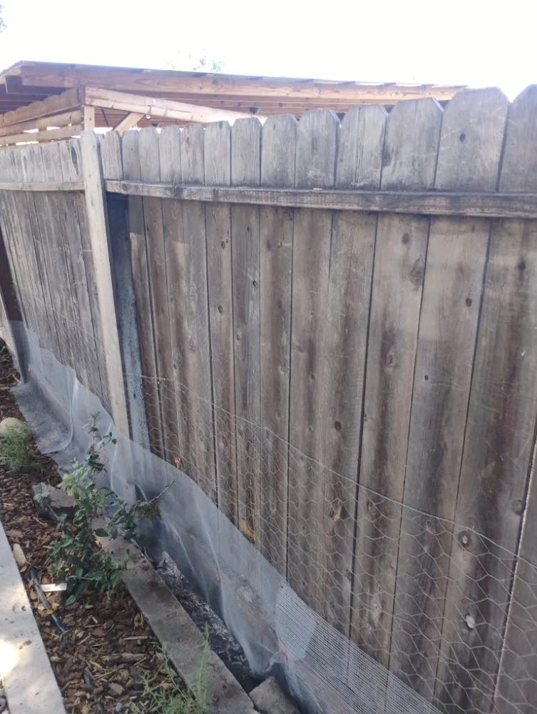 Reliable yard maintenance for beautiful yards across Spring Valley, CA - Herkules Home Solutions