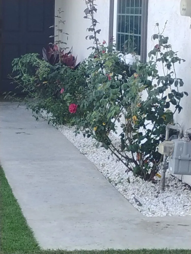 Local landscape design in Spring Valley, CA by Herkules Home Solutions