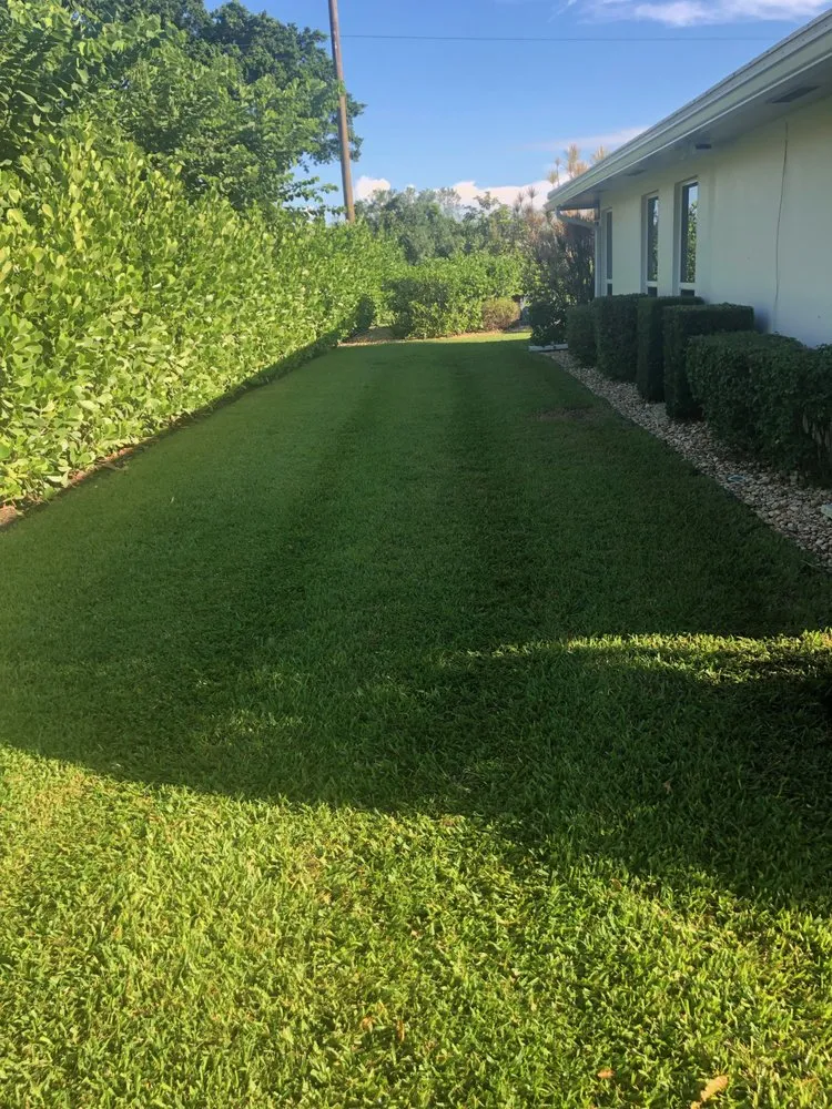 Trusted landscape design for residential properties in Lake Worth, FL by Herlindo's Empire