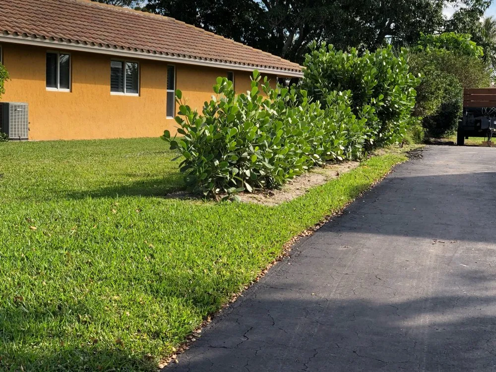 Professional landscape installation in Lake Worth, FL - Herlindo's Empire