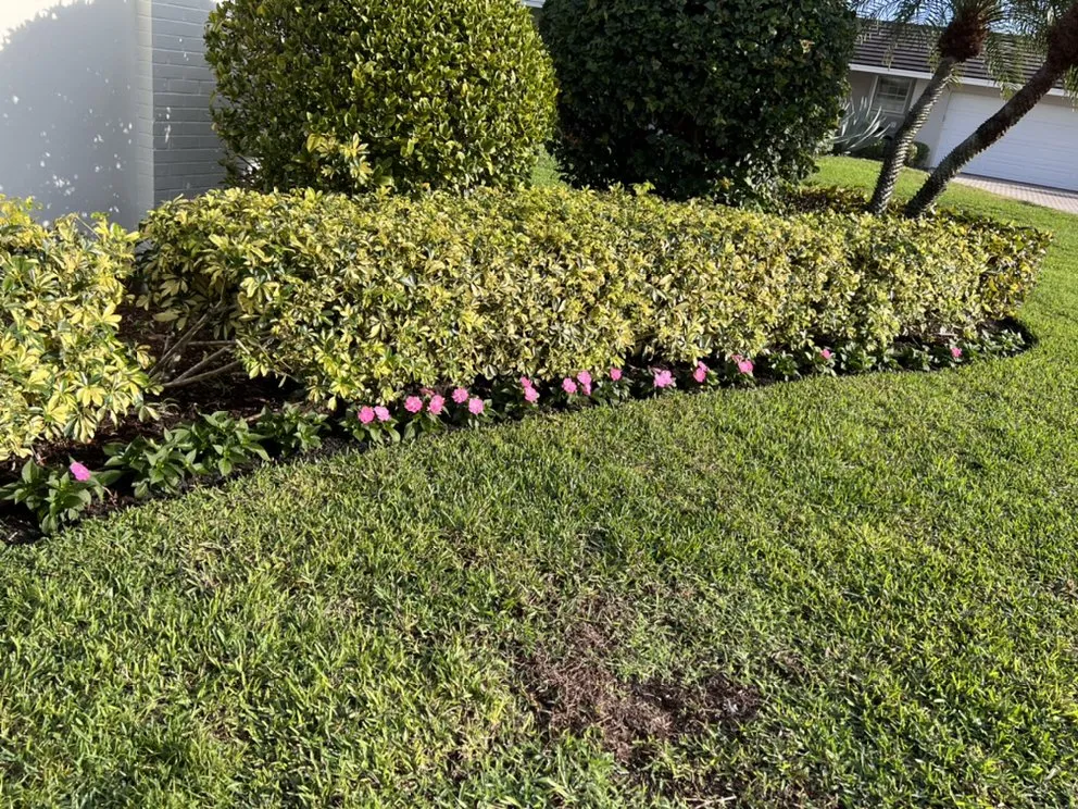 Top-rated landscape installation experts serving Lake Worth, FL - Herlindo's Empire