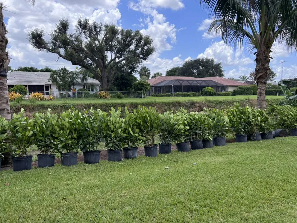 Local residential landscaping for year-round maintenance across Lake Worth, FL - Herlindo's Empire