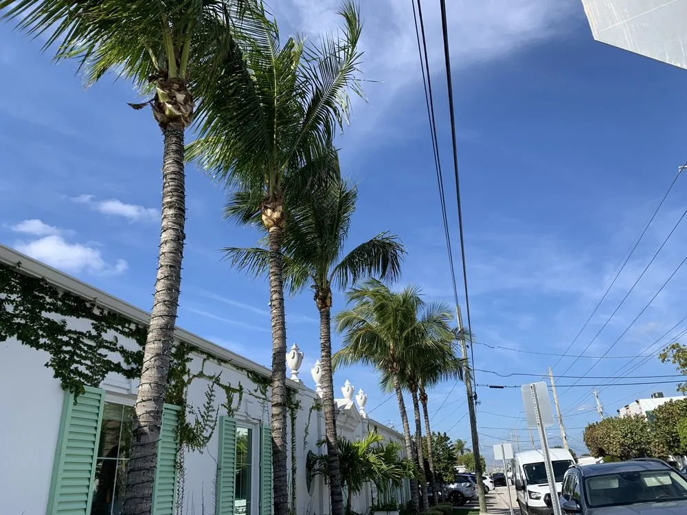 Professional yard maintenance for outdoor upgrades across Lake Worth, FL - Herlindo's Empire