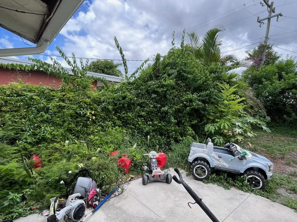 Trusted lawn care service for outdoor upgrades across Lake Worth, FL - Herlindo's Empire