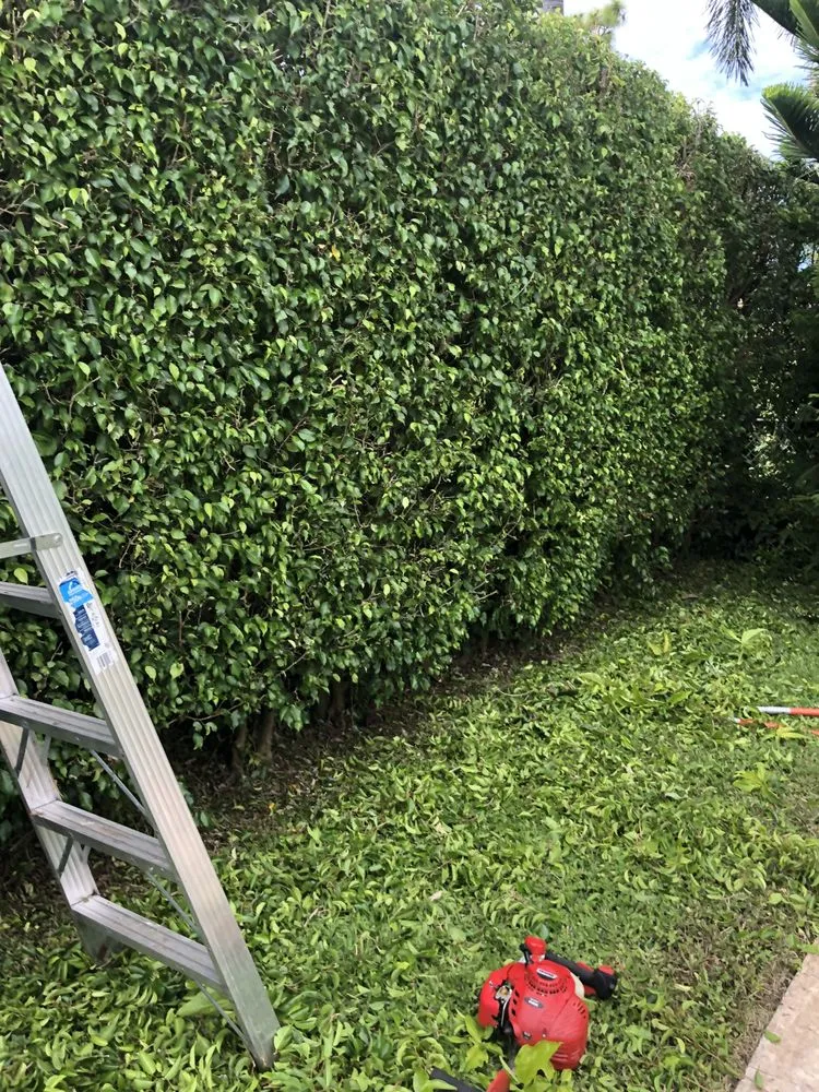 Top-rated outdoor landscaping in Lake Worth, FL - Herlindo's Empire