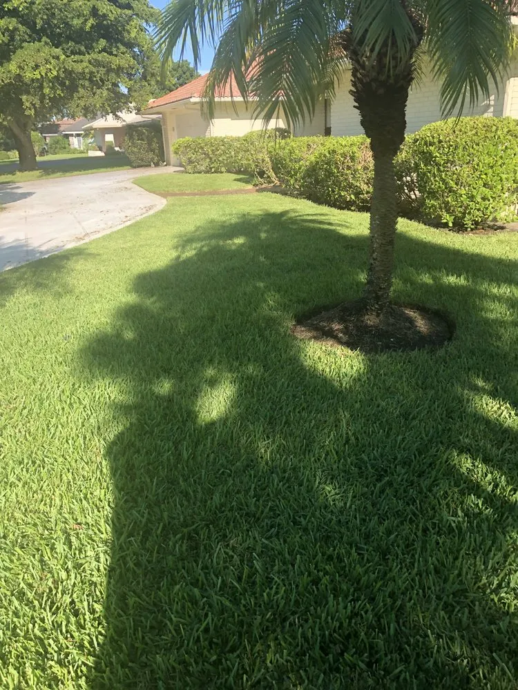 Expert landscape design experts serving Lake Worth, FL - Herlindo's Empire